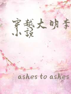 穿越大明李青的小说