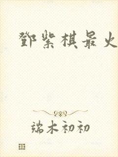 邓紫棋最火的歌