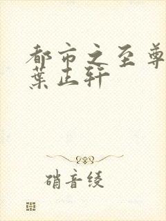 都市之至尊战神叶正轩