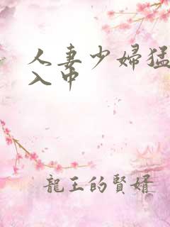 人妻少妇猛烈进入中