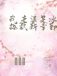 我老婆是冰山女总裁新章节沈浪