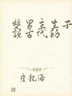 双男主生子文小说古代的