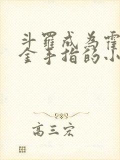 斗罗成为霍雨浩金手指的小说