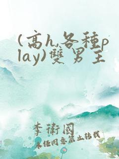 (高h,各种play)双男主