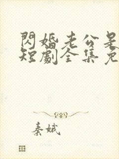 闪婚老公是总裁短剧全集免费看