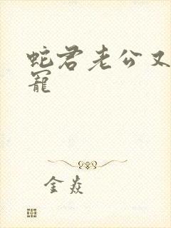 蛇君老公又甜又宠