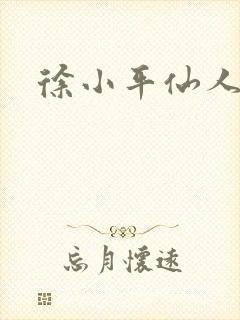 徐小平仙人指路