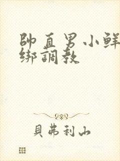 帅直男小鲜肉捆绑调教