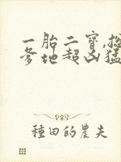 一胎二宝,总裁爹地超凶猛