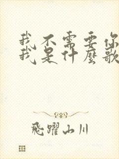 我不需要你认识我是什么歌