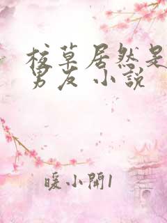 校草居然是你前男友 小说