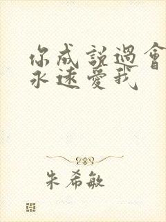 你成说过会给我永远爱我