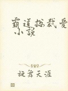 霸道总裁爱上我 小说