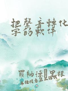 把声音转化成文字的软件