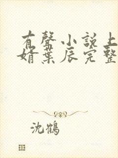 有声小说上门龙婿叶辰完整版