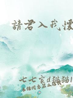 请君入我怀原著