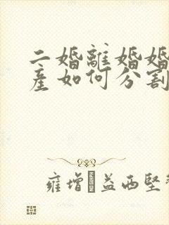 二婚离婚婚前财产如何分割新婚姻法