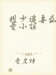 权少追妻盛婚秘爱小说