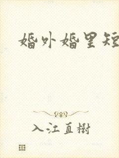 婚外婚里短剧