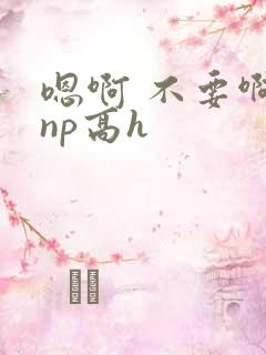 嗯啊 不要啊 np高h