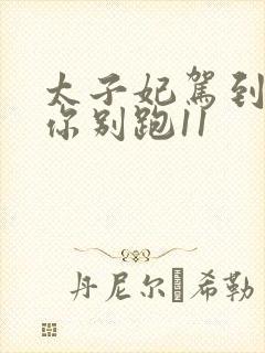 太子妃驾到总裁你别跑11