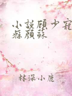 小说顾少宠妻成瘾颜苏