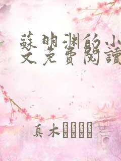 苏明渊的小说全文免费阅读无弹窗