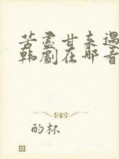 苦尽甘来遇见你韩剧在哪看