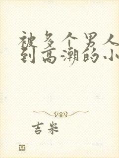 被多个男人玩弄到高潮的小说