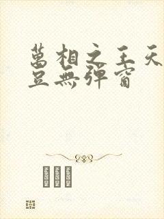 万相之王天蚕土豆无弹窗