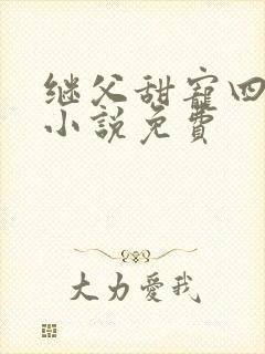 继父甜宠四重奏小说免费