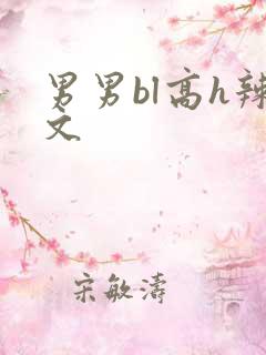男男bl高h辣文