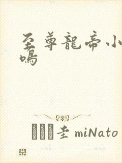 至尊龙帝小说陆鸣