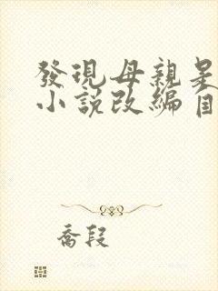 发现母亲是小姐小说改编自哪部小说