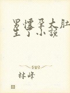 男怀孕大肚子要生了小说