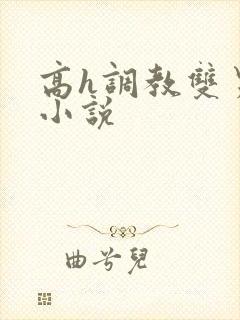 高h调教双男主小说