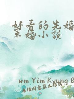 好看的先婚后爱军婚小说