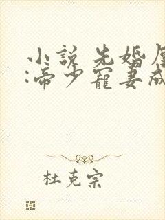 小说 先婚厚爱:帝少宠妻成瘾