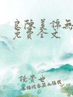 良陈美锦无弹窗免费全文