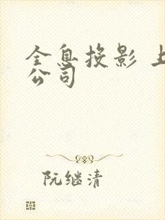 全息投影 上市公司