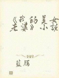 《我的美女总裁老婆》小说