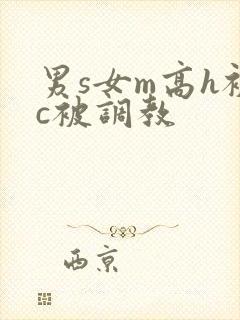 男s女m高h被c被调教