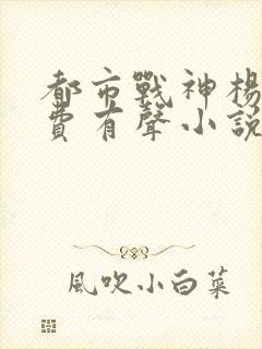 都市战神杨洛免费有声小说