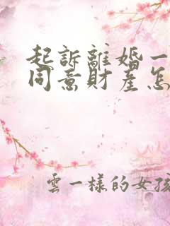 起诉离婚一方不同意财产怎么分配