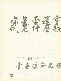 你是否还会想起我是什么歌