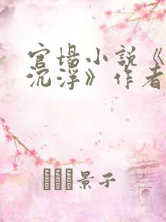 官场小说《我主沉浮》作者