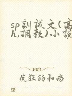 sp训诫文(高h,调教)小说