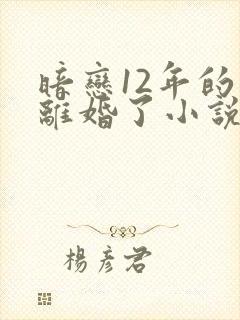暗恋12年的他离婚了小说免费阅读无弹窗