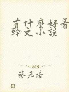 有什么好看的高干文小说