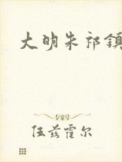 大明朱祁镇小说